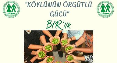İzmir Köy Koop Birlik Başkanı Neptün Soyer: “Zeytinliklerimizi korumalıyız”