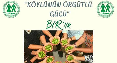 İzmir Köy Koop Birlik Başkanı Neptün Soyer: “Zeytinliklerimizi korumalıyız”
