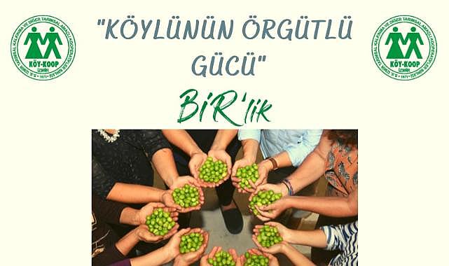 İzmir Köy Koop Birlik Başkanı Neptün Soyer: “Zeytinliklerimizi korumalıyız”