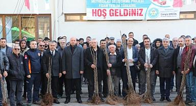 Üreticilerin Meyve Fidanları Büyükşehir'den