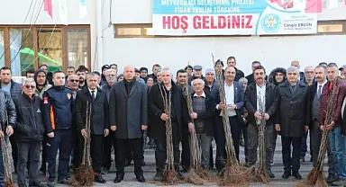 Üreticilerin Meyve Fidanları Büyükşehir'den