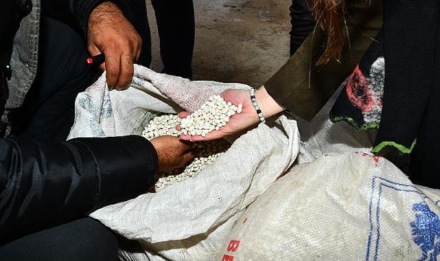 Yerli kuru fasulyeyle çiftçiye 1,5 milyon liralık destek