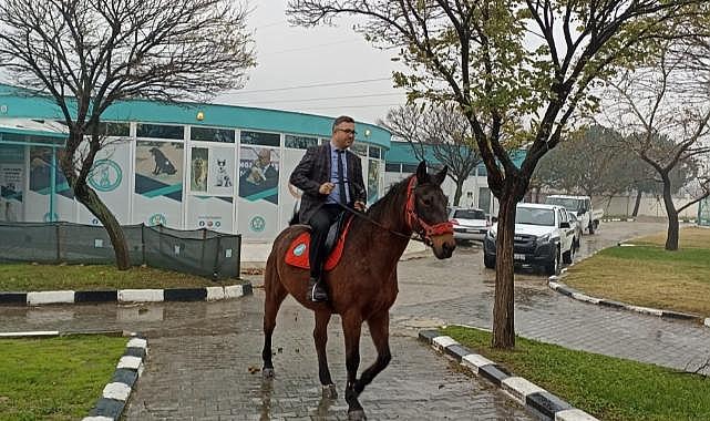 Atlı zabıta birliği göreve hazırlanıyor