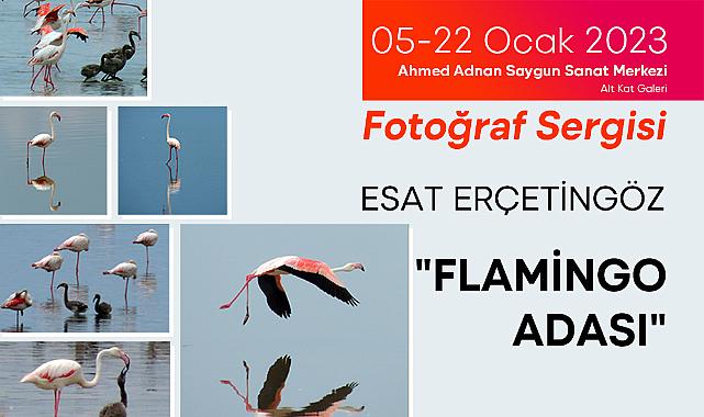 Flamingo Adası 5 Ocak'ta ASSM'de
