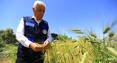 Muğla Büyükşehir Belediyesi'nden Tarım ve Hayvancılığa Büyük Destek
