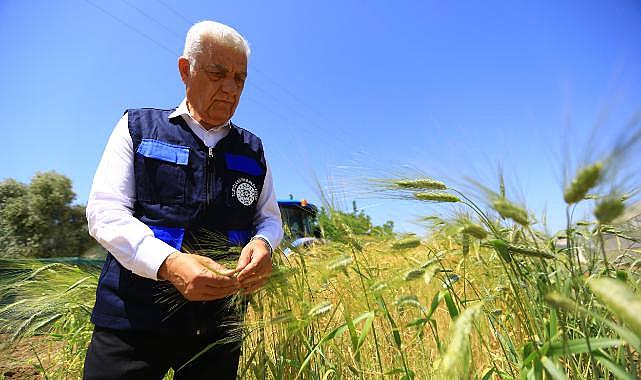 Muğla Büyükşehir Belediyesi'nden Tarım ve Hayvancılığa Büyük Destek