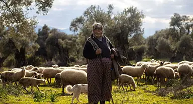 İzmir'de Çoban Start-Up dönemi başlıyor