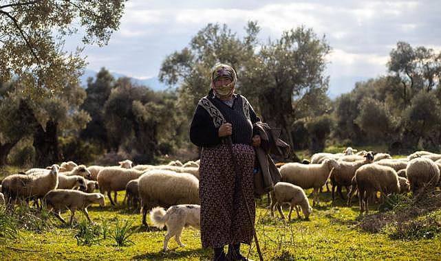İzmir'de Çoban Start-Up dönemi başlıyor