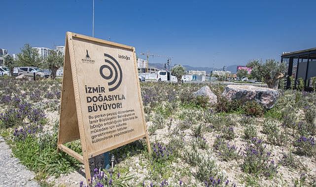 İzmir'e bir yılda 10 Buca Cezaevi kadar yeşil alan