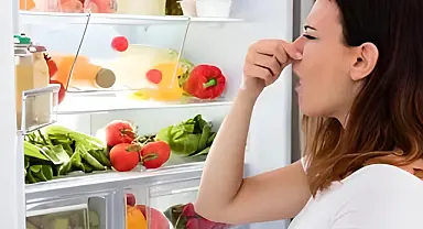 Küflü gıda temizlenip, kullanılabilir mi?
