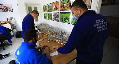 Muğla Büyükşehir Belediyesi 2023 Yılının Yerel Tohumlarının Dağıtımına Başladı