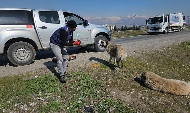 Deprem Bölgesi’ndeki Can Dostlarımız Unutulmadı