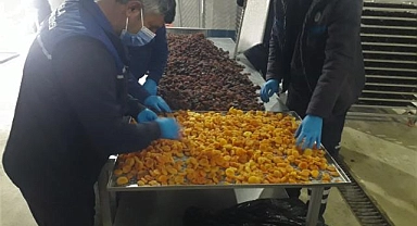 Büyükşehir, Malatya'da ki Üreticilerden Satın Aldığı Kayısıları Ücretsiz Dağıtacak