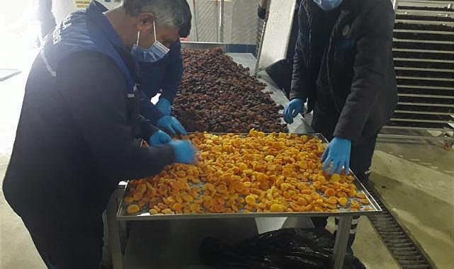 Büyükşehir, Malatya&#039;da ki Üreticilerden Satın Aldığı Kayısıları Ücretsiz Dağıtacak