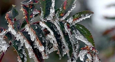 Meterolojiden Aydın için önemli uyarı