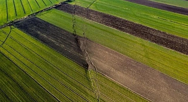 Muğla'dan Deprem Bölgesine Tarımsal Destek