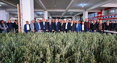 Denizli Büyükşehir’den Zeytin Seferberliği
