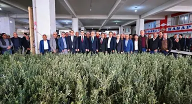 Denizli Büyükşehir’den Zeytin Seferberliği
