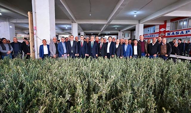 Denizli Büyükşehir’den Zeytin Seferberliği