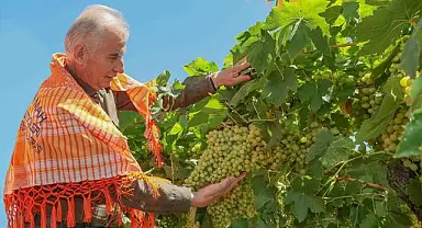 Denizli destekliyor, çiftçiler daha çok kazanıyor