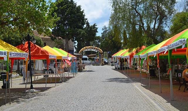 Didim 'VegFest'e Hazır