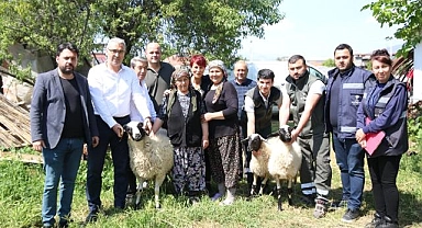 Başkan Çerçioğlu'ndan Koyunları Telef Olan Üretici Kadına Destek