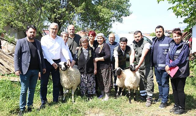 Başkan Çerçioğlu'ndan Koyunları Telef Olan Üretici Kadına Destek