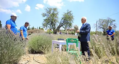 Lavanta Bahçesi Yeni Sezona Hazırlanıyor