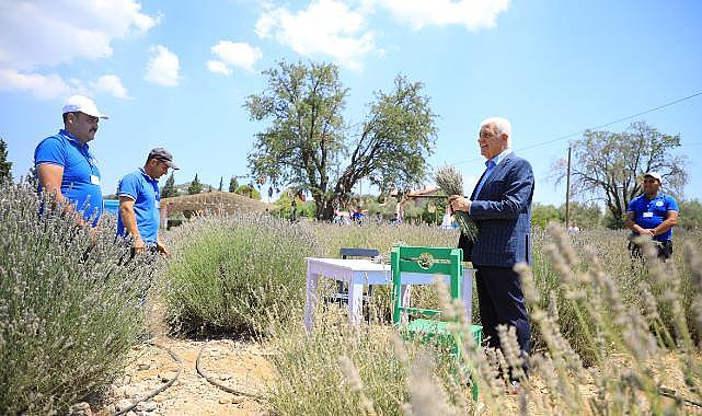 Lavanta Bahçesi Yeni Sezona Hazırlanıyor