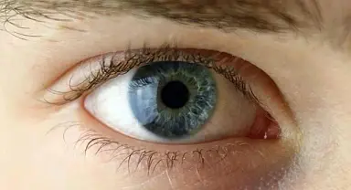 Yapay zeka göz ile beyin arasındaki şifreyi çözdü: Körlük tarihe karışacak
