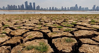 Avrupa'da İklim Değişikliği: 2022 Yılında Rekor Sıcaklıklar ve Olumsuz Etkiler