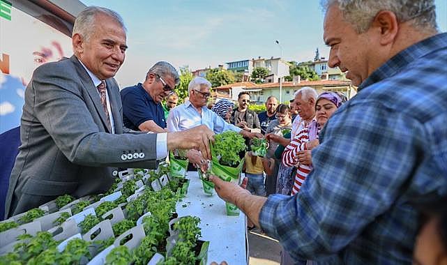 Büyükşehir'den Denizli’ye 40.000 fesleğen