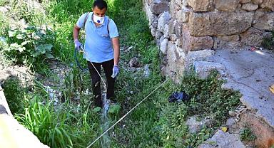 İzmir’de sivrisineklere karşı etkin mücadele