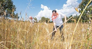 Karakılçık buğdayı akademinin mutfağında