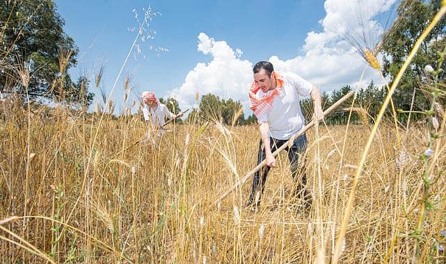 Karakılçık buğdayı akademinin mutfağında