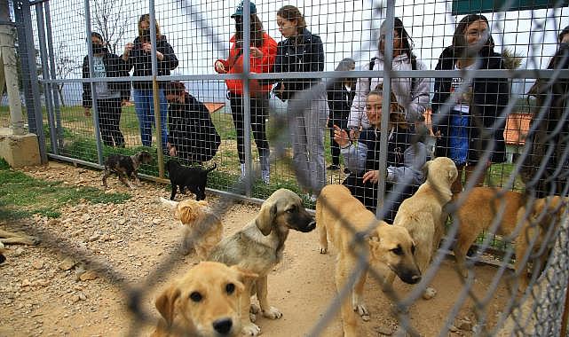 Muğla Büyükşehir Geçici Hayvan Bakımevi Can Dostlar İçin Çalışıyor