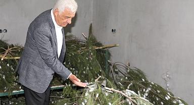 Muğla Büyükşehir’in Desteklediği İpekböcekçiliği Üretiminde Yüzler Gülüyor