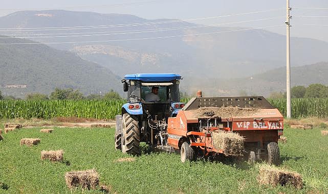 434 Dekar Araziden Elde Edilen Kaba Yem Üreticiye Dağıtılacak