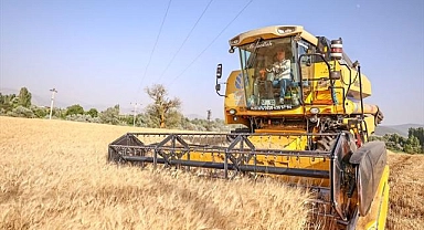 Büyükşehir'de hasat zamanı