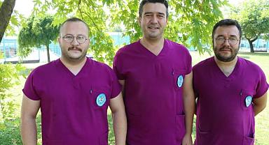 Büyükşehir'den Sokak Hayvanları İçin Uyarı