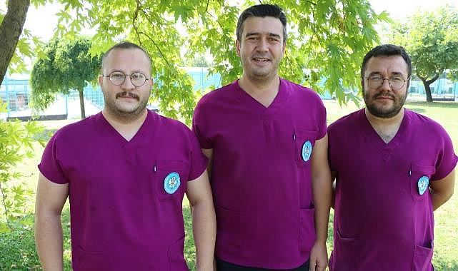 Büyükşehir&#039;den Sokak Hayvanları İçin Uyarı