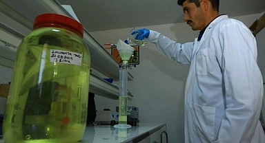 Büyükşehir Distilasyon Tesisi Muğla'nın aromatik bitkilerini işliyor