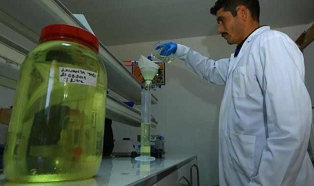 Büyükşehir Distilasyon Tesisi Muğla'nın aromatik bitkilerini işliyor