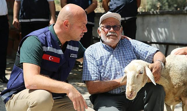 Büyükşehir yaraları sarmak için tüm imkanlarını seferber etti