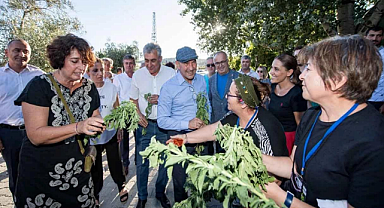Çiftçiye yeni gelir kapısı
