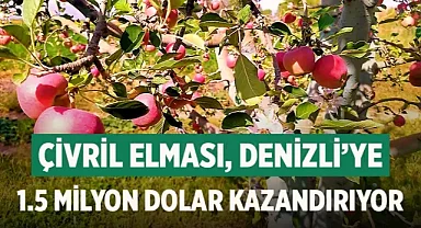 Çivril elması, Denizli'ye 1.5 milyon dolar kazandırıyor