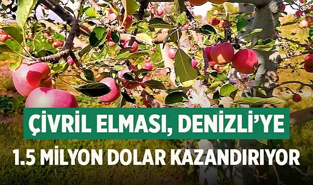 Çivril elması, Denizli&#039;ye 1.5 milyon dolar kazandırıyor