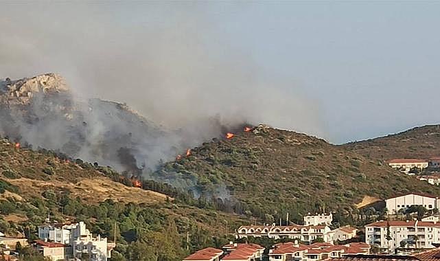 Datça&#039;da Korkutan Orman Yangını