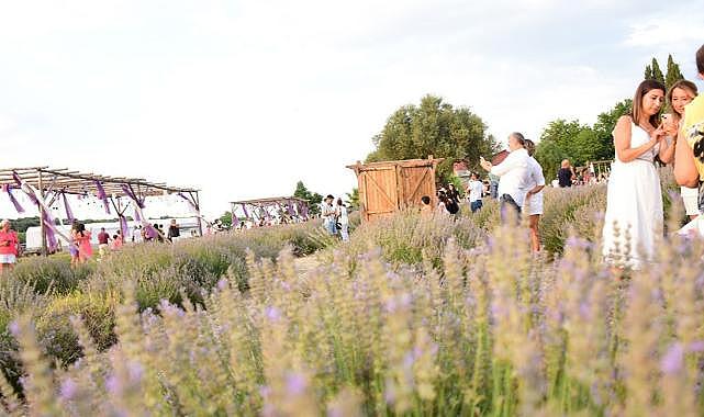 Didim Lavanta Festivali muhteşem anlara sahne oldu