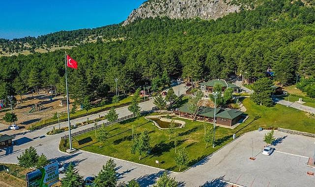Doğasıyla cezbeden Kefe Yaylası misafirlerini bekliyor